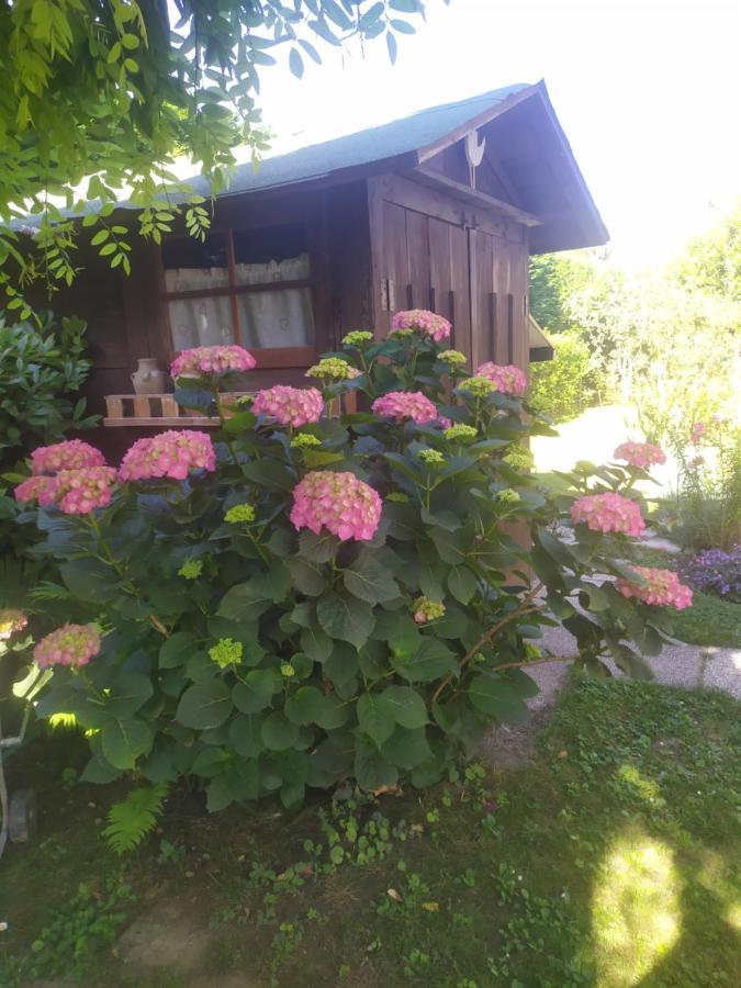 Al Casale B&B Casalserugo Kültér fotó