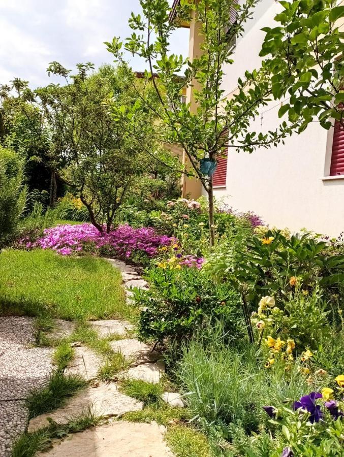 Al Casale B&B Casalserugo Kültér fotó